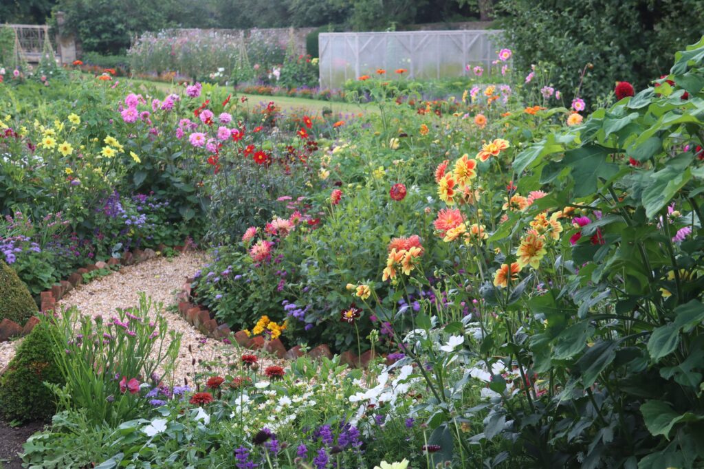 New flower bed in the Walled Garden at Fittleworth House.