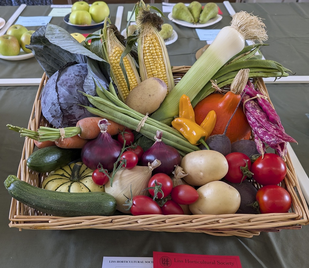 A winning basket of vegetables. 